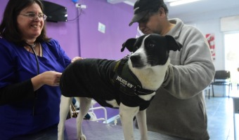 JORNADA DE ATENCIN VETERINARIA EN EL CENTRO COMUNITARIO SUR